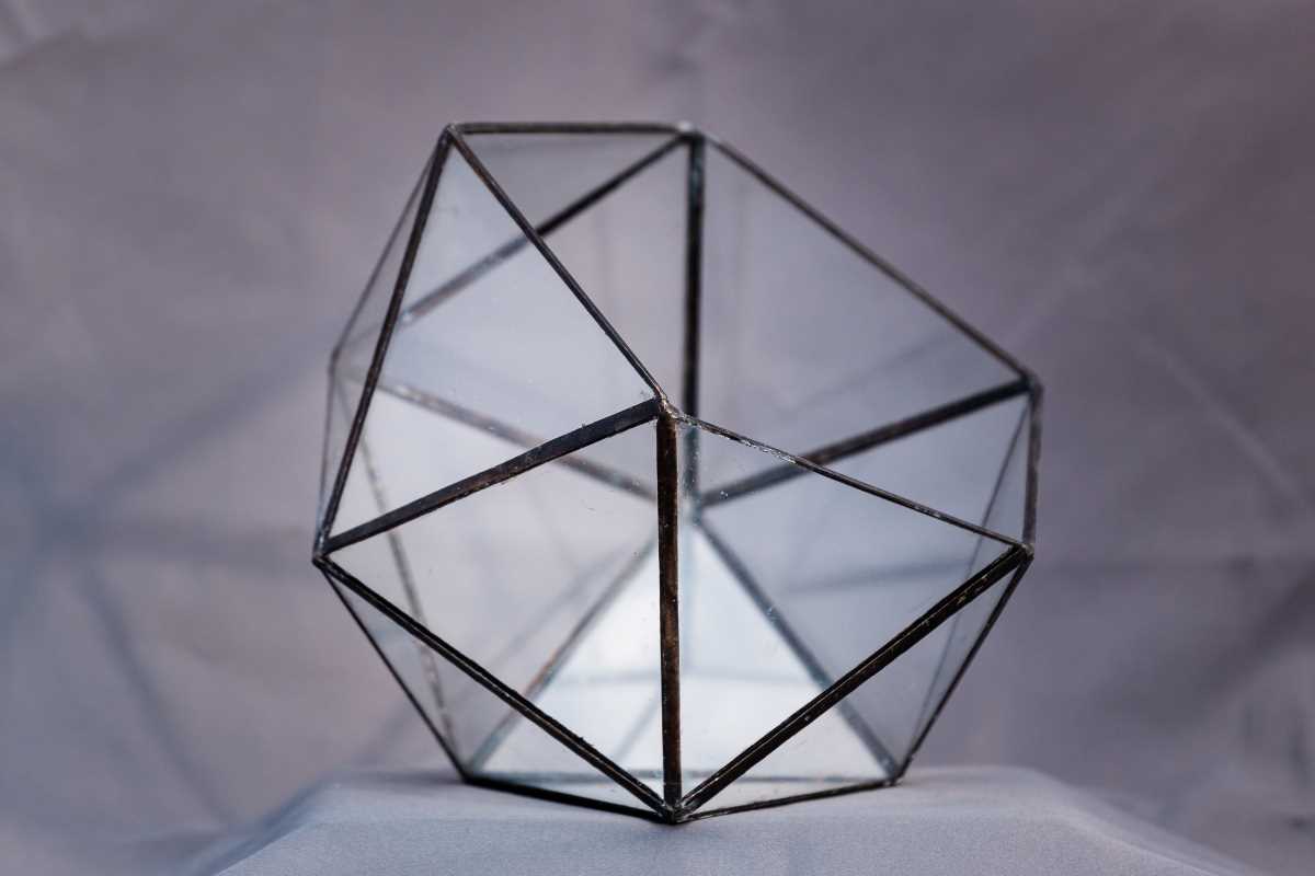 terariu din sticla, semi-icosaedru mediu cu muchii negre, greenarium