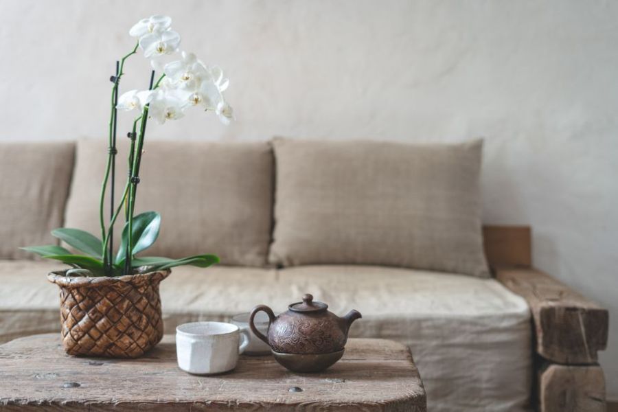 orhidee cu flori albe, ghiveci maro, ceainic si ceasca de ceai, decor rustic