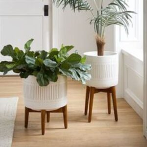 plante verzi in ghivece albe asemanatoare, scaune cu picioare din lemn, fundal luminos
